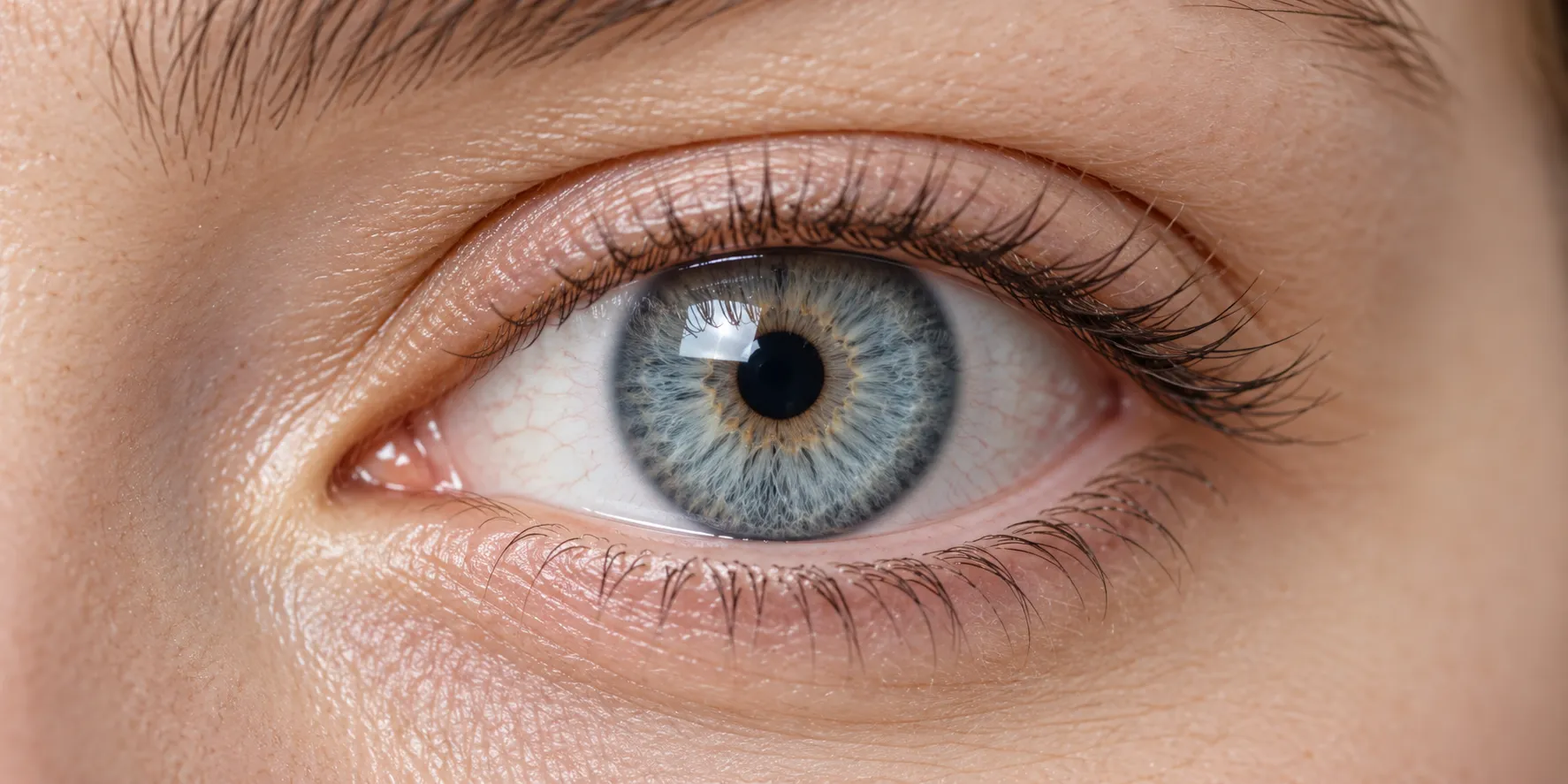 A detailed close-up of a grey-blue eye